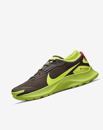 Zapatillas De Trail Running Nike Pegasus Trail 3 GORE-TEX Hombre Chocolate Oscuro Rojas Claro | CO2914