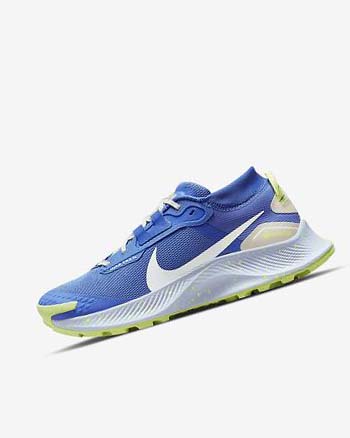 Zapatillas De Trail Running Nike Pegasus Trail 3 GORE-TEX Impermeables Mujer Azules Marrones Gris | CO3104
