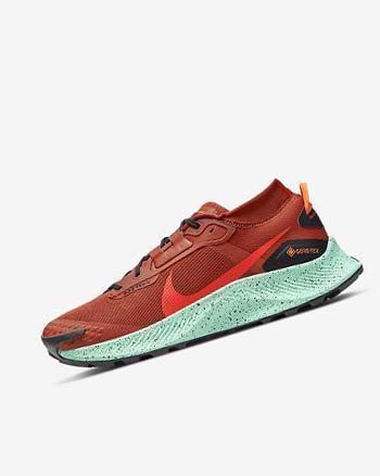 Zapatillas De Trail Running Nike Pegasus Trail 3 GORE-TEX Impermeables Hombre Naranjas Negras Naranjas Rojas | CO4599