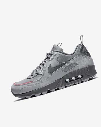 Zapatillas Nike Air Max 90 Surplus Hombre Gris Rosas Azules Claro Gris | CO4704