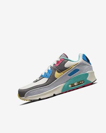 Zapatos Casuales Nike Air Max 90 Niño Gris Rosas | CO3269
